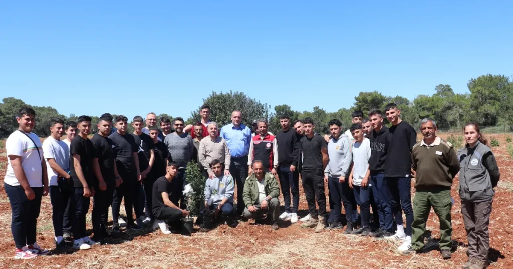 cesme-damla-sakizi-kibris-topraklarinda-rhpVuXEL.webp