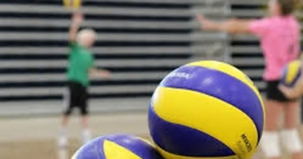 festival-voleybol-heyecani-fuar-izmirde-yasanacak-xdmicP1D.webp