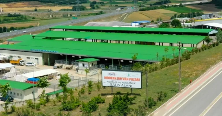 izmitte-kurban-satisi-icin-on-kayitlar-basladi-aONWQ1ai.webp