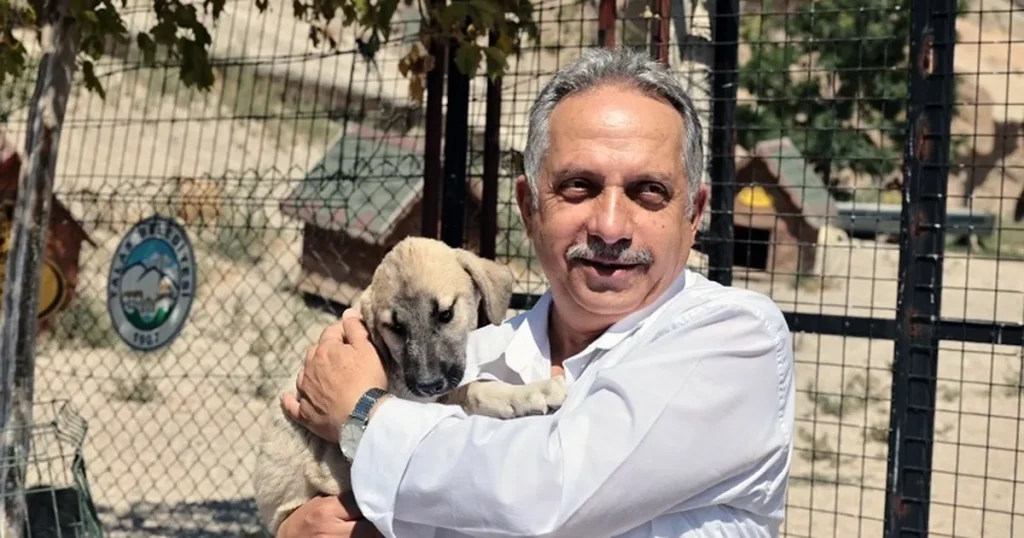 kayseri-talas-pati-evi-can-dostlara-yuva-oluyor-AcjZyZ42.webp