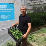 Kocaeli'de modern seralarda hasat bereketi
