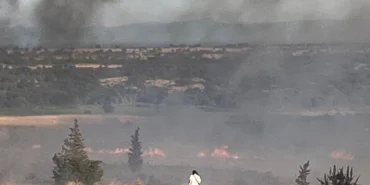 Enez'de orman yangını paniği... Gülçavuş sahili boşaltılıyor